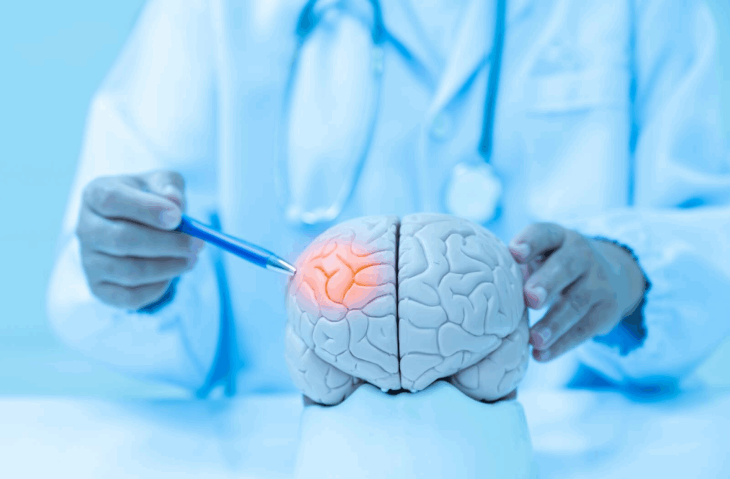A neurologist points to a model of a brain, highlighting an area of it.